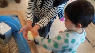 20150413000512450.jpg